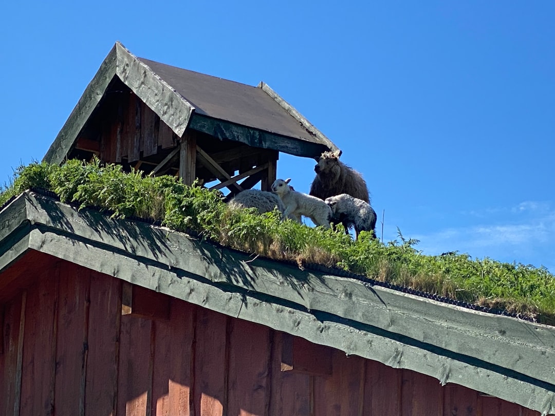 Professional roofer carefully installs new architectural shingles on a suburban home's roof under a bright, sunny sky, rep...